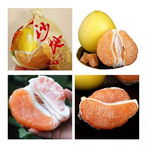 新鲜【黄金蜜柚】黄肉甜柚子 1个