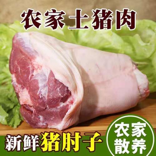 生鲜【肘子】整个猪蹄髈 1.0-1.2kg