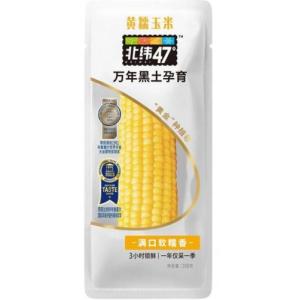 北纬47【黄糯玉米】200g